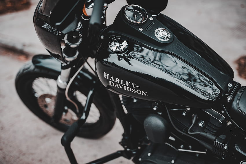 Harley-Davidson, moto musculosa fondo de pantalla