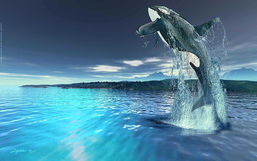 Baleia, linda baleia roxa papel de parede HD
