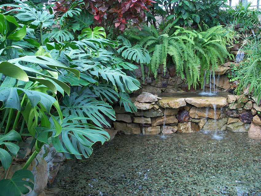 pond,plants and waterfalls, waterfalls, plants, rocks, pond HD wallpaper