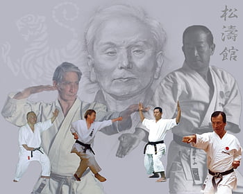 Shotokan karate club HD wallpapers | Pxfuel