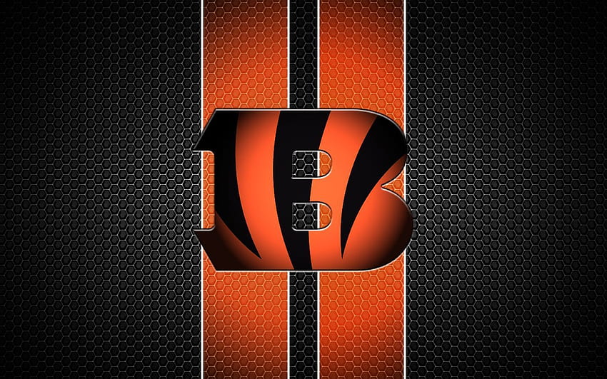NFL Cincinnati Bengals Teamlogo HD-Hintergrundbild