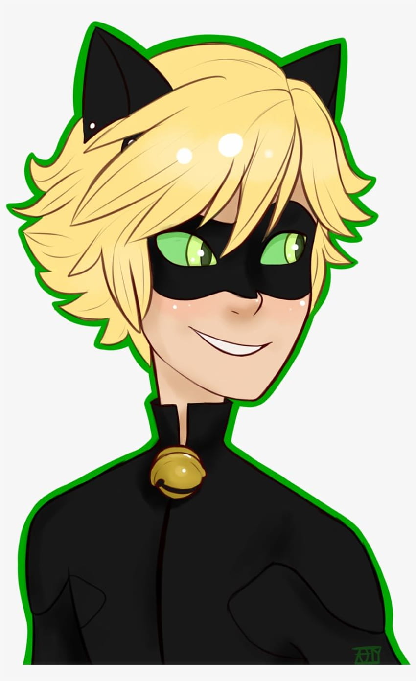 Miraculous Ladybug Chat Noir And - Cartoon Transparent PNG - - on NicePNG, Miraculous Tales of Ladybug and Cat Noir HD phone wallpaper