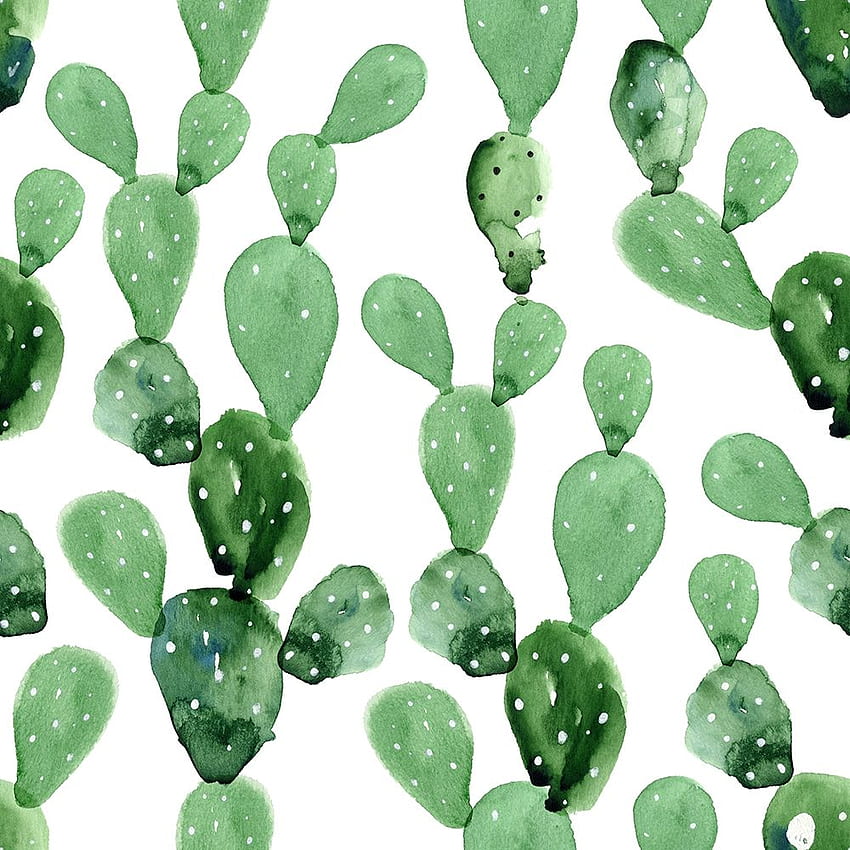 Southwestern Cactus Watercolor - at HD phone wallpaper