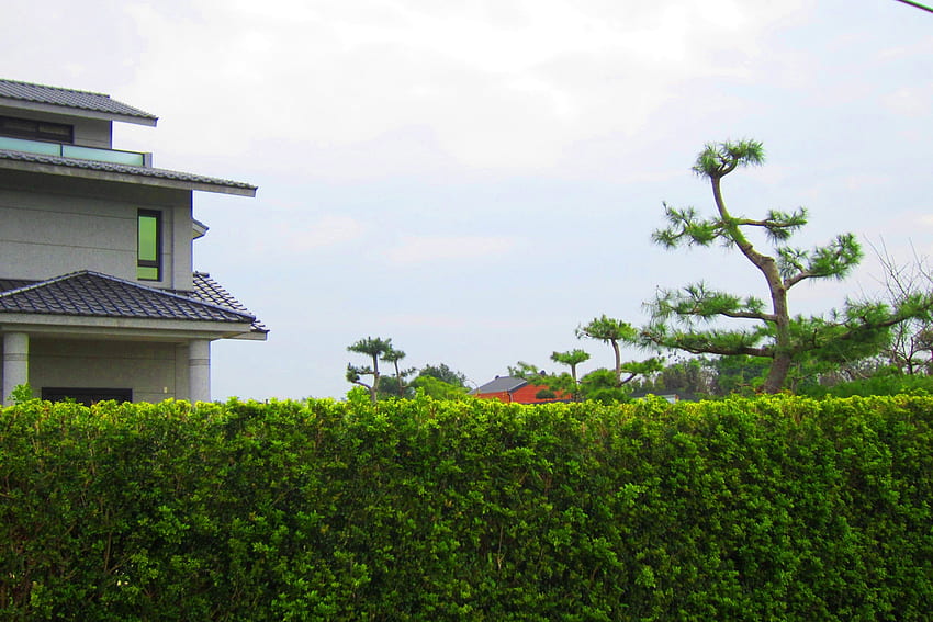 Rumah pedesaan, kaca patri, pagar tanaman hijau, pohon Wallpaper HD