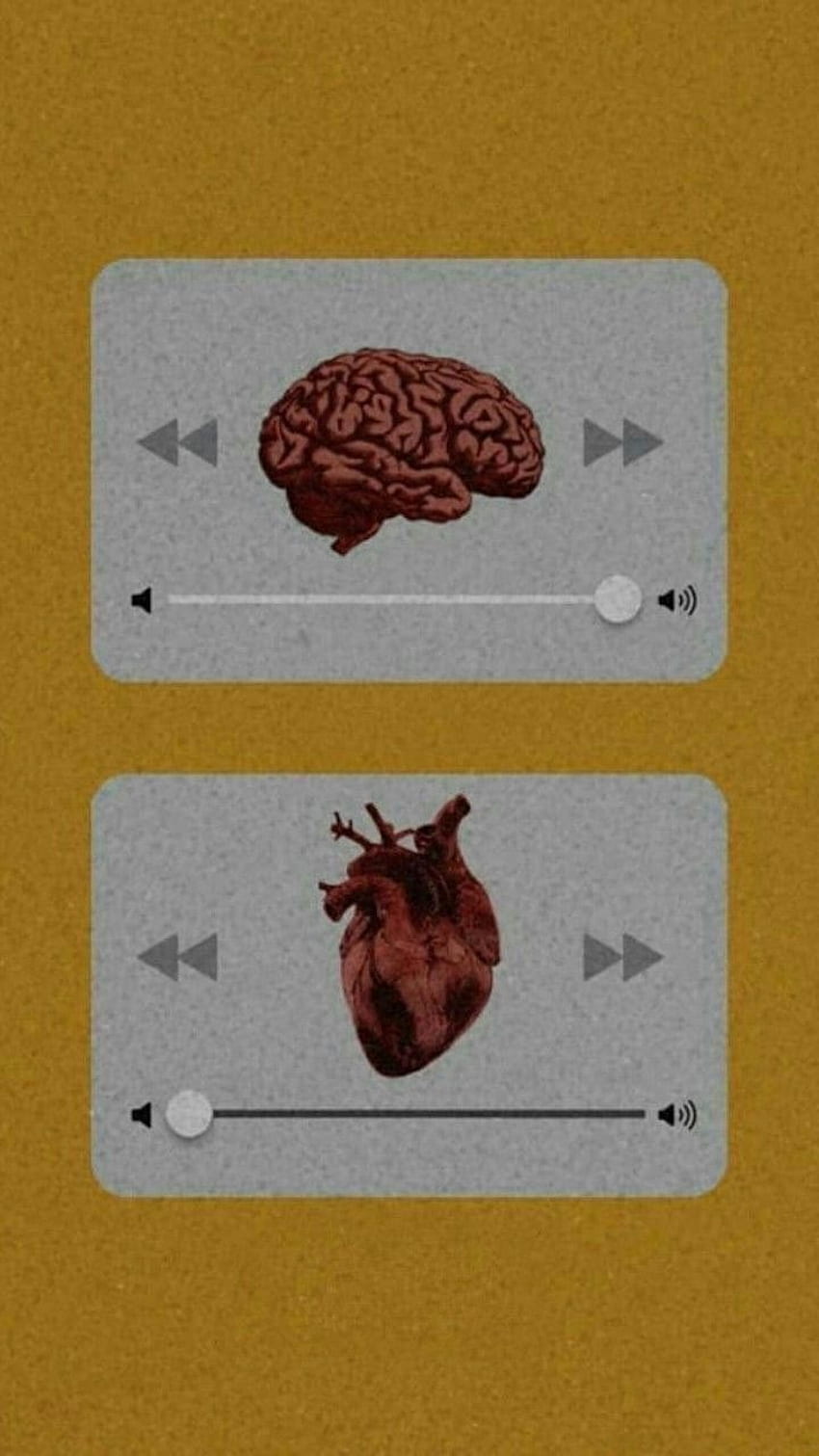 Herz gegen Verstand entdeckt, Gehirn und Herz HD-Handy-Hintergrundbild