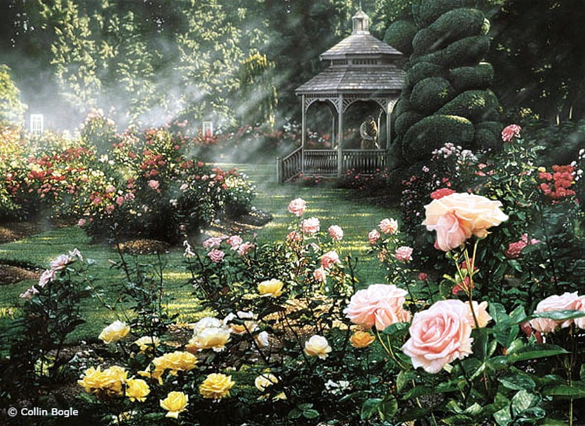 Mawar taman, warna-warni, udara segar, relaksasi, indah, keindahan, tumbuh-tumbuhan, mawar, alam, bunga, menyenangkan Wallpaper HD