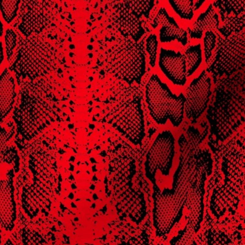 Golden snake skin wallpaper  Abstract wallpapers  38861