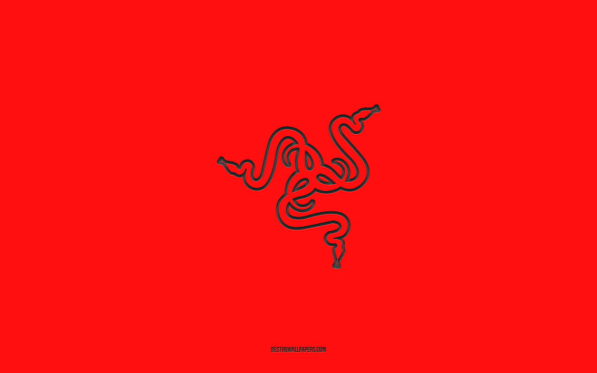 Logo Razer, czerwone tło gradientowe, logo Razer carbon, czerwone tło, Razer, emblemat Razer Tapeta HD