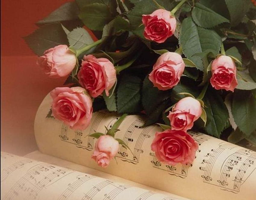 The Performance, still life, pink, music sheets, bouquet, leaves, roses, green, music notes HD wallpaper