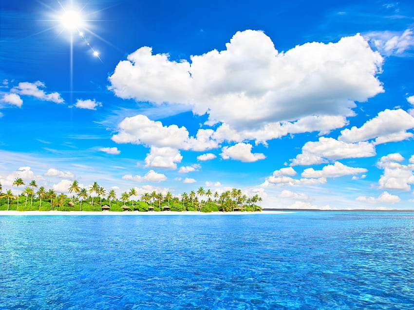Тропически рай, палми, море, лято, тропически, слънце HD тапет