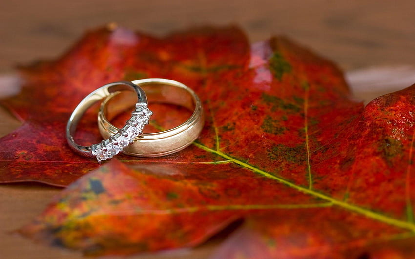 Engagement, Red Ring HD wallpaper
