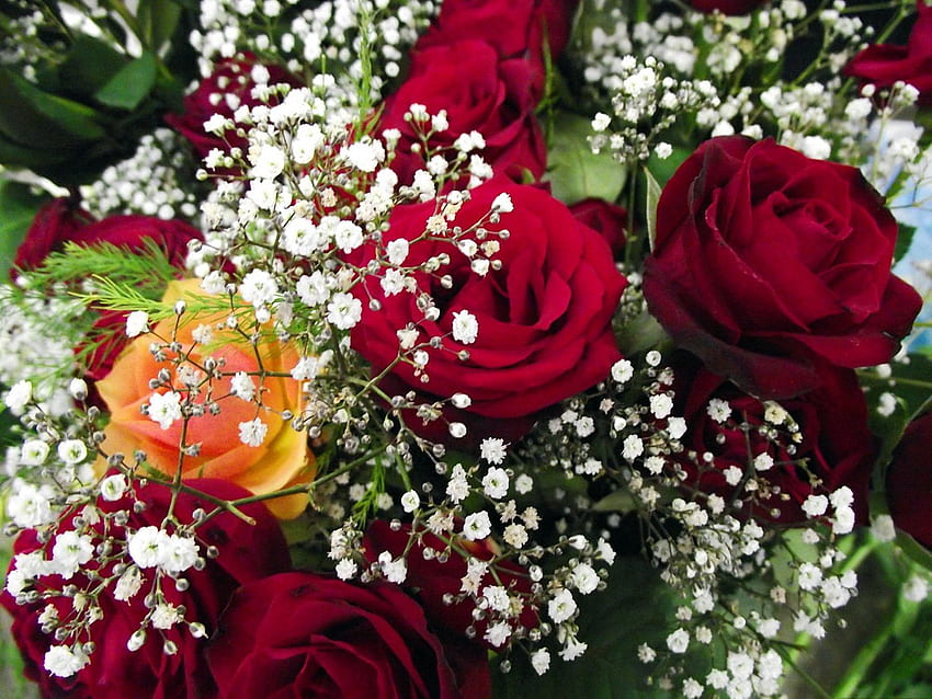 Flowers, Roses, Close-Up, Bouquet, Gypsophilus, Gipsophile HD wallpaper