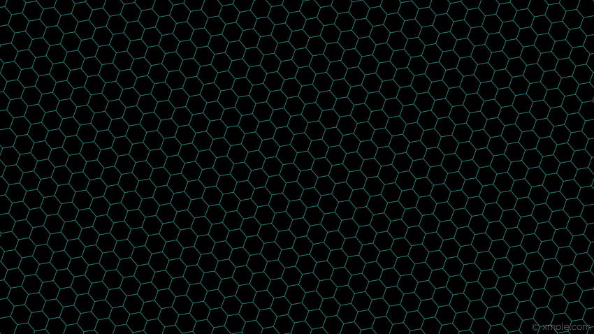 Beehive, Black Honeycomb HD wallpaper