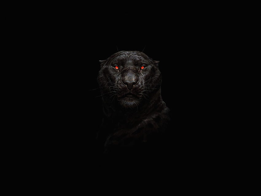 Tiger, leuchtend rote Augen, minimal, dunkel HD-Hintergrundbild