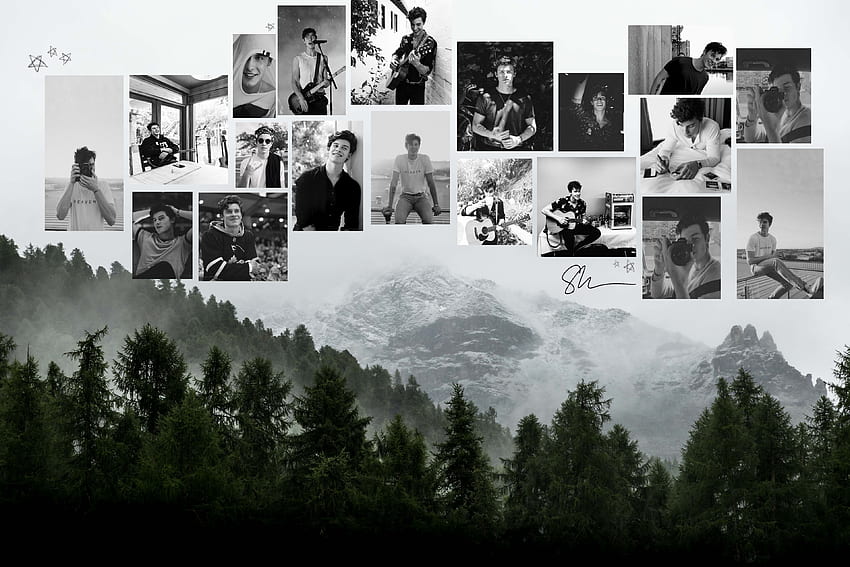 Shawn Mendes HD wallpaper