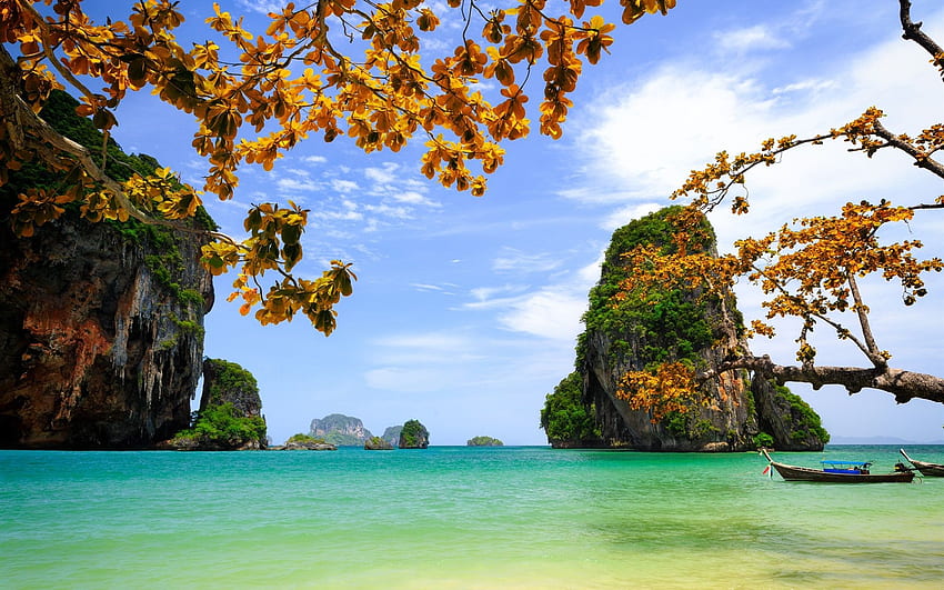 Vietnam, beautiful scenery, sea, rocks, islands, trees, leaves HD wallpaper