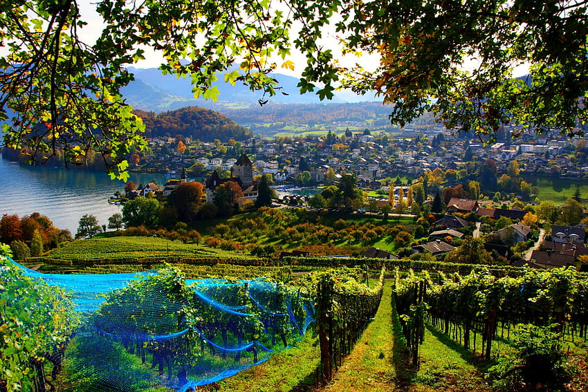 Switzerland House Fields Spiez Cities autumn HD wallpaper | Pxfuel