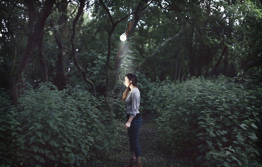 Wald, Mädchen, Lampe, Überwältigende Dunkelheit für , Abschnitt ситуации HD-Hintergrundbild