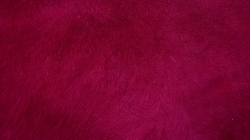 fur, texture, red, surface HD wallpaper