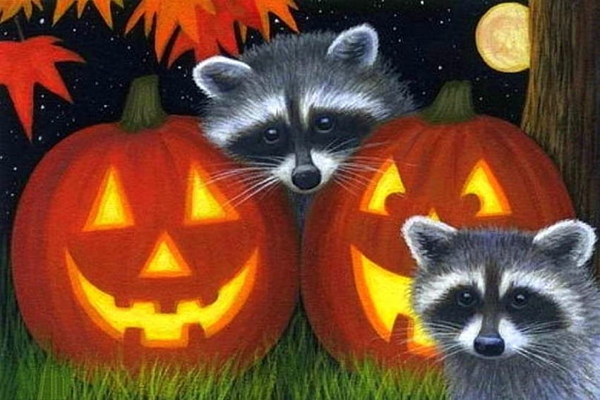 Mapaches de Halloween, otoño, pinturas, calabazas, amor cuatro estaciones, halloween, mapaches, animales, otoño, dibujar y pintar, lunas fondo de pantalla