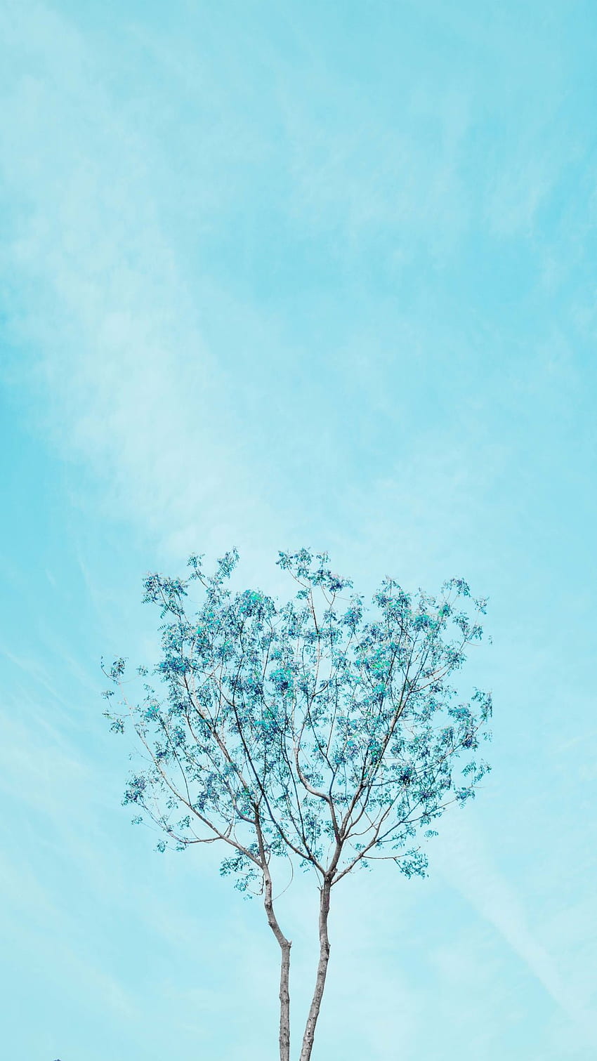 Cyan Aesthetic - Android, iPhone, Background / (, ) () (2020) HD phone wallpaper