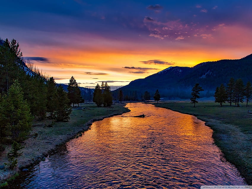 Madison River at Sunset, river, trees, sky, nature, sunset HD wallpaper