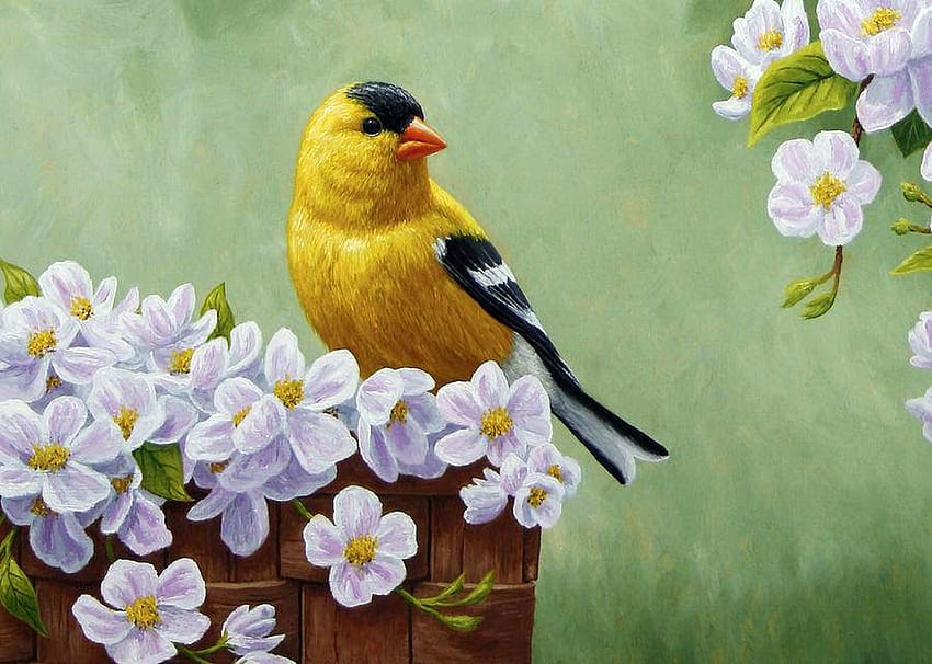 Goldfinch di Musim Semi, karya seni, lukisan, burung, bunga, burung penyanyi Wallpaper HD