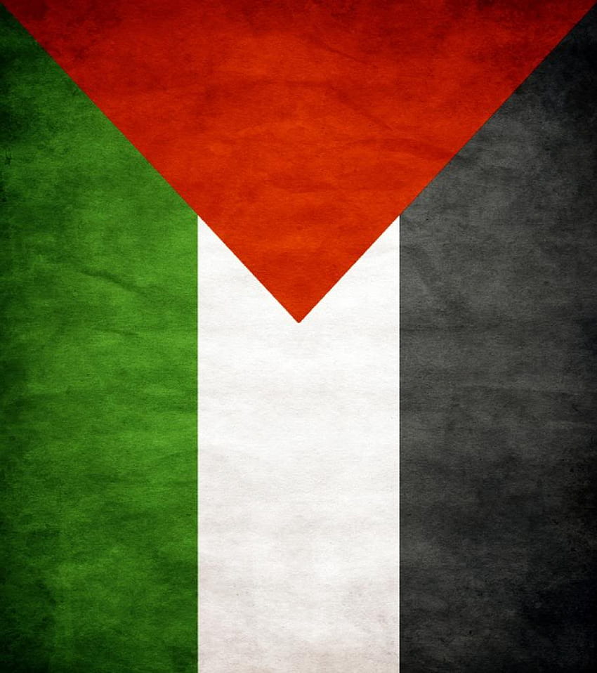 Palestina, Palestine Flag HD phone wallpaper