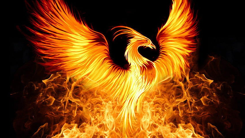 Phoenix Bird , Mythical Phoenix HD wallpaper