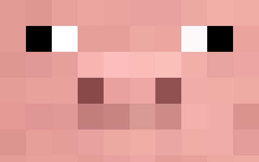 Świnia Minecraft, Twarz Świni Tapeta HD