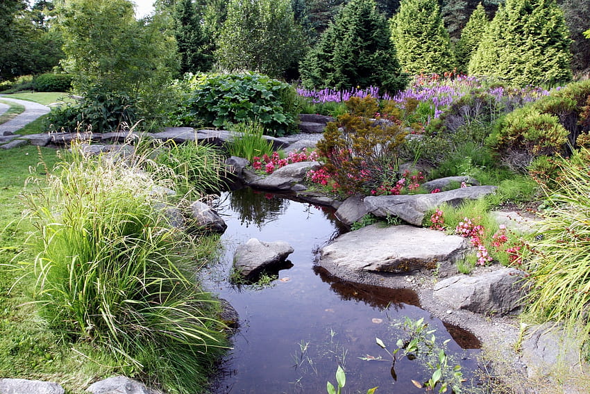 자연, 돌, 부시, 초목, 자, 정원, 연못 HD 월페이퍼