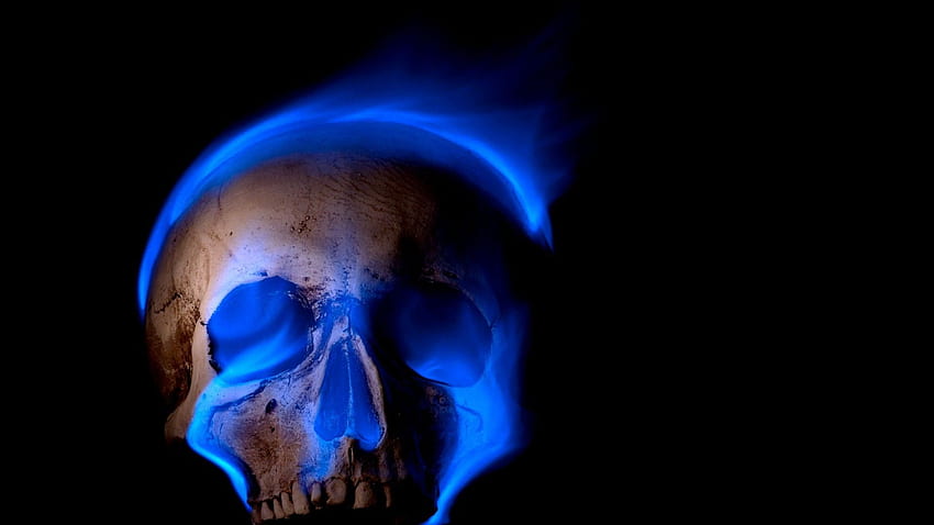 seni digital tengkorak latar belakang hitam gigi membakar api biru api, Kematian Biru Wallpaper HD