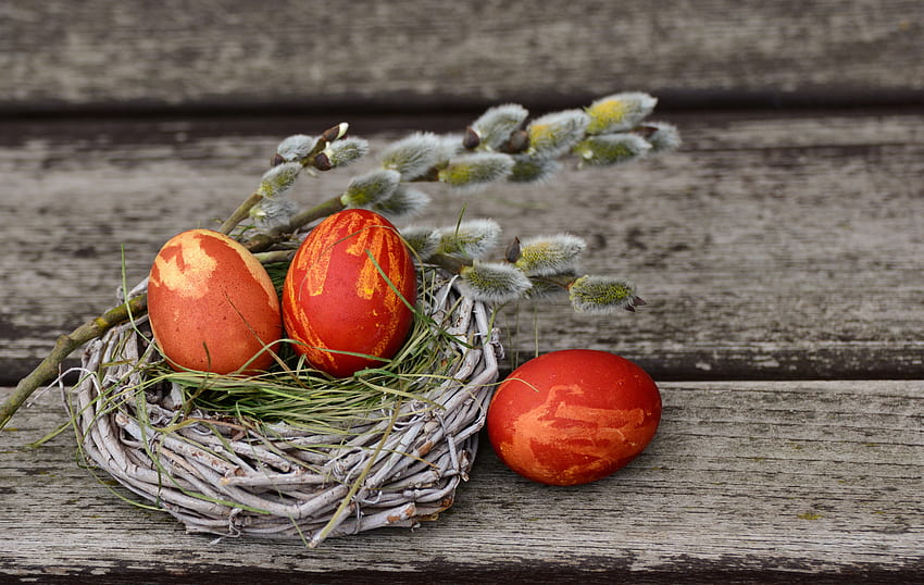 Feiertage, Eier, Ostern, Dekoration, Weidenkätzchen, Verba, Dekorieren HD-Hintergrundbild