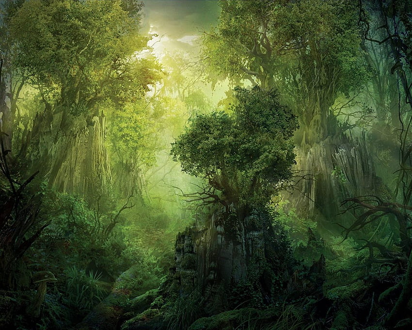 Джунгла под висококачествена красива джунгла HD тапет