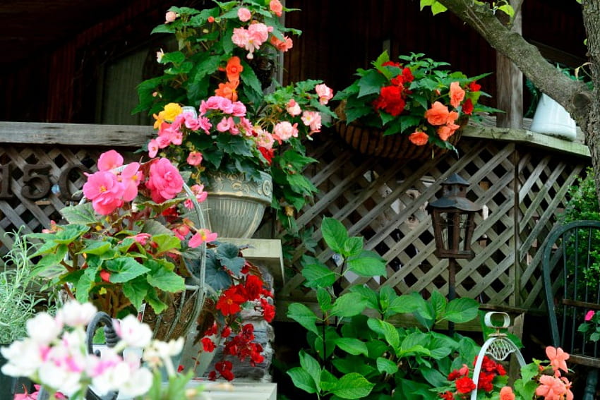 Scenic Summer Scene, summer flowers, summer design, beautiful flowers, colorful flowers, summer decor HD wallpaper