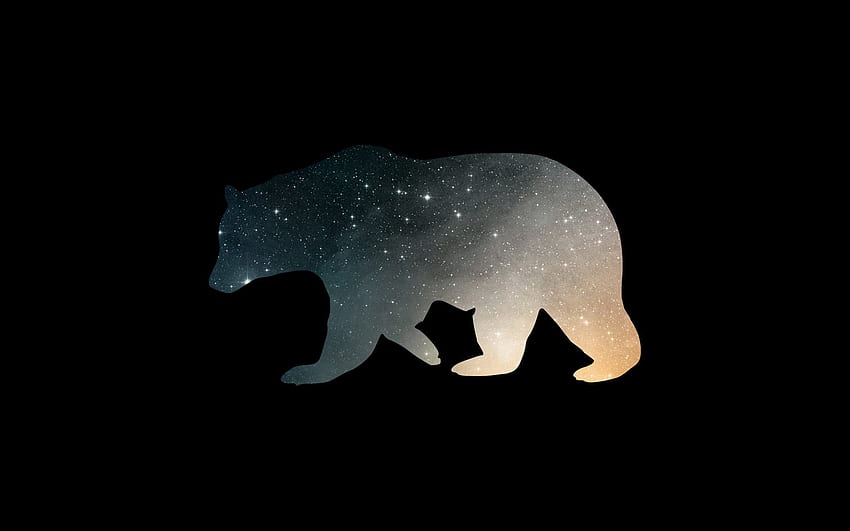 960 Bear HD Wallpapers and Backgrounds