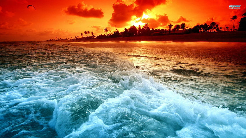 Key West Sunset: Hoàng hôn Key West mang đến cho bạn cảm giác như đang được đắm mình trong một bức tranh sơn dầu sống động, với những màu sắc và ánh nắng đang dần lặn xuống. Hãy chiêm ngưỡng những khoảnh khắc tuyệt đẹp của mặt trời khi lặn trên vùng biển phía tây của Key West.