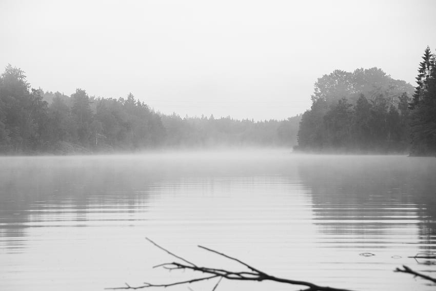 : Fog Lake. , Lake,, Foggy Lake HD wallpaper