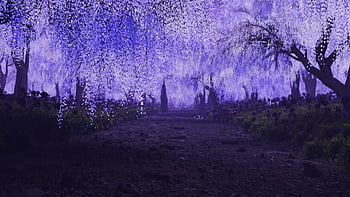 Demon slayer wisteria HD wallpapers  Pxfuel