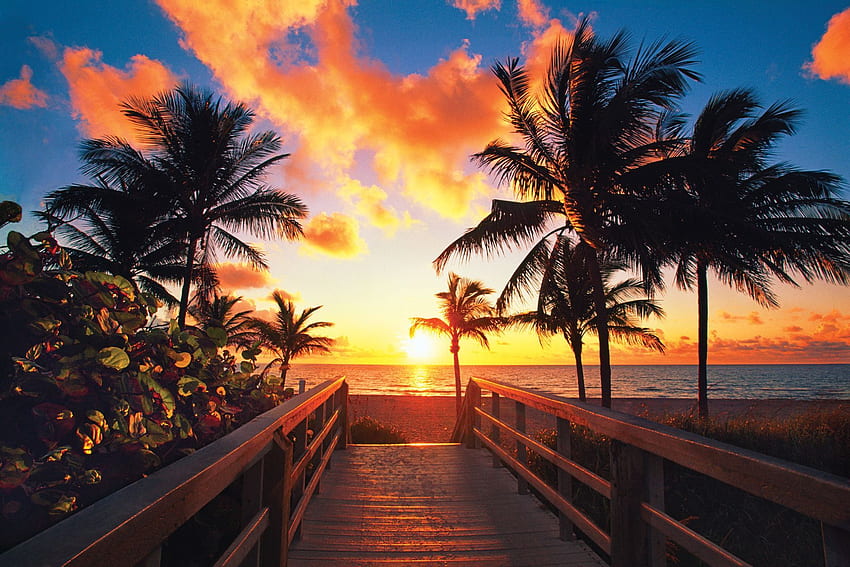 Juno Beach Pier, Florida, sea, fishing, clouds, sky, sunset, usa HD  wallpaper | Pxfuel