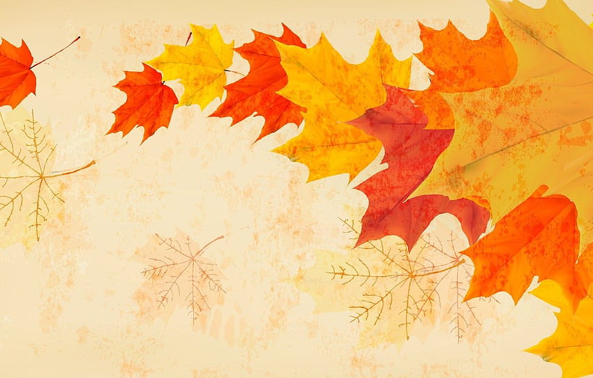 autumn, leaves, the wind for , section минимализм -, Autumn Minimalist HD wallpaper