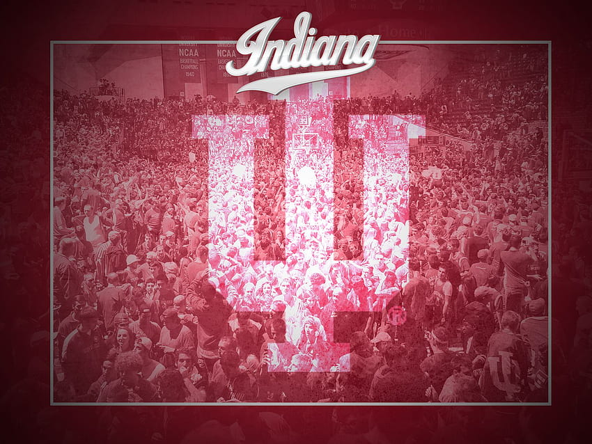 IU Basketball Hoosiers, Indiana Basketball HD wallpaper