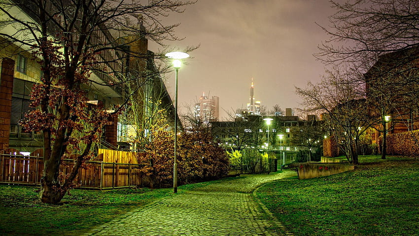 Landscape, Cities, Trees, r, Track, Night Street HD wallpaper