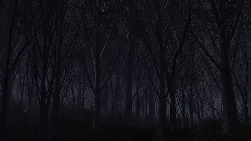 Kara Orman, Karanlık Orman Estetiği HD duvar kağıdı