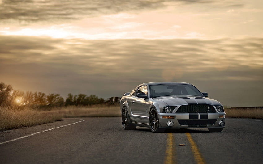 Sonnenuntergang, Ford, Mustang, Autos, Straße, Silber, Silbrig, Muscle Car, Shelby HD-Hintergrundbild