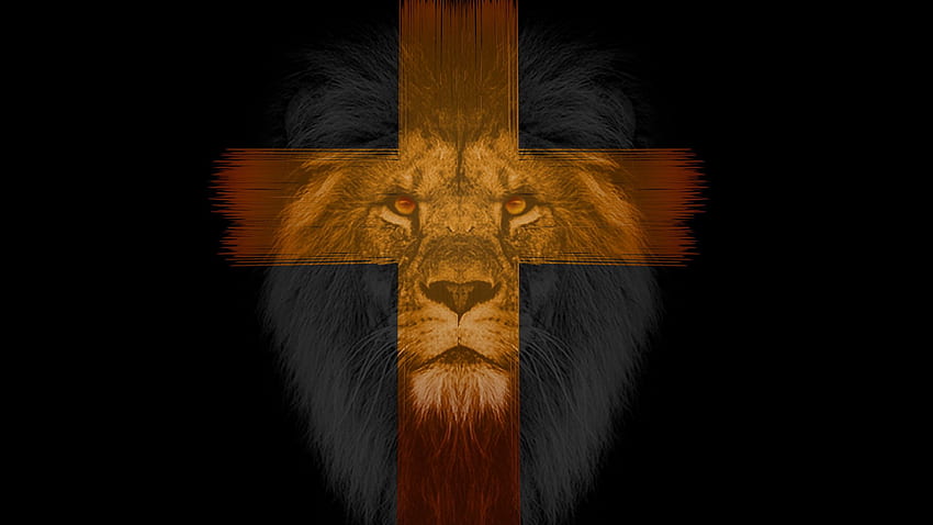 lion, cross, muzzle, dark 16:9 background HD wallpaper