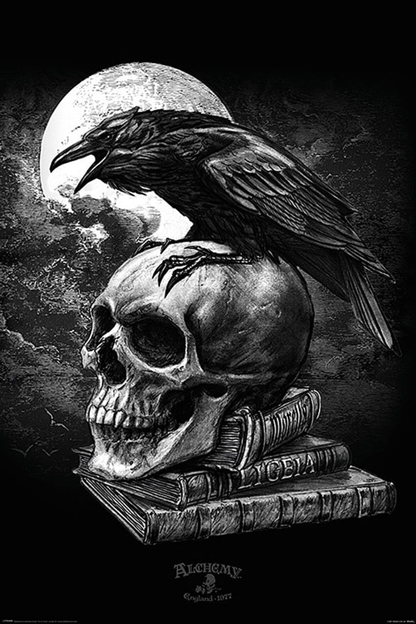 Edgar Allan Poe The Raven  Possible tattoo I might get   Flickr