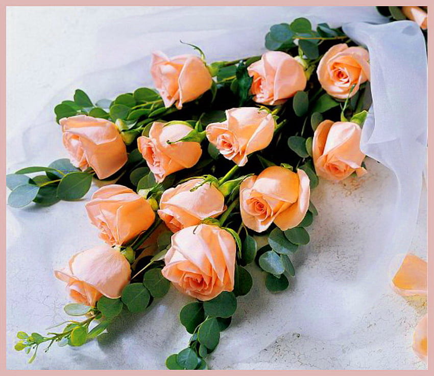 Pour Andonia, blanc, corail, roses, douzaine, vert, fleurs Fond d'écran HD
