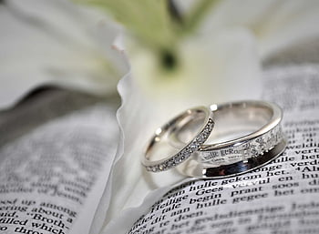 Ring Photos Download The BEST Free Ring Stock Photos  HD Images