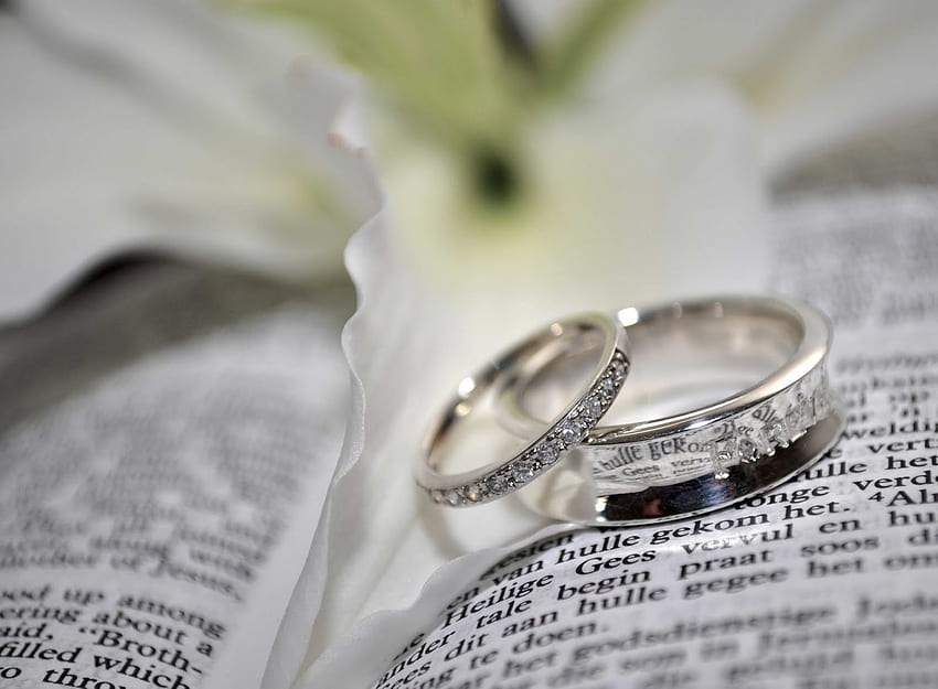 婚約中の結婚指輪グループ 高画質の壁紙